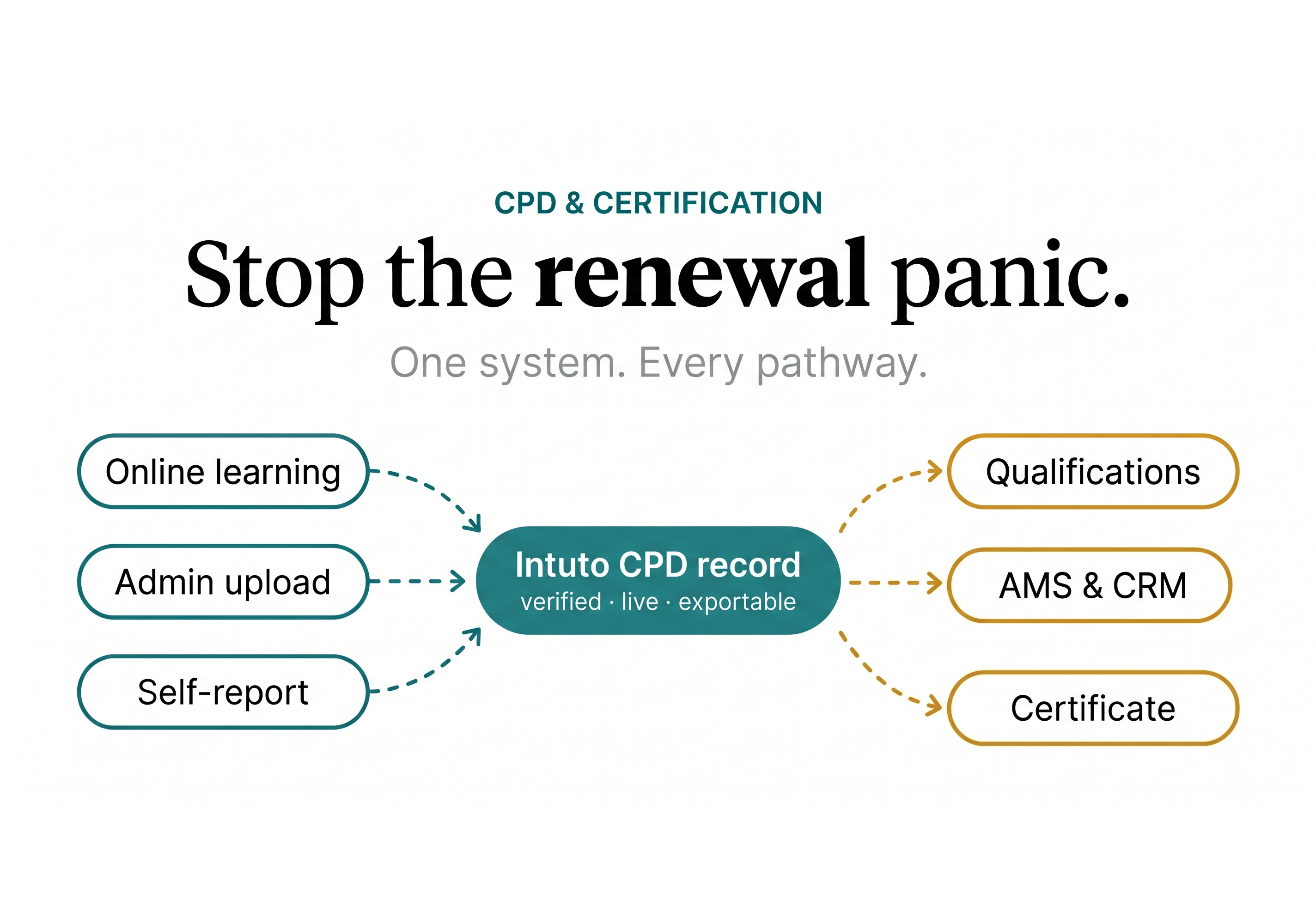 Mastering Professional Certification & Compliance