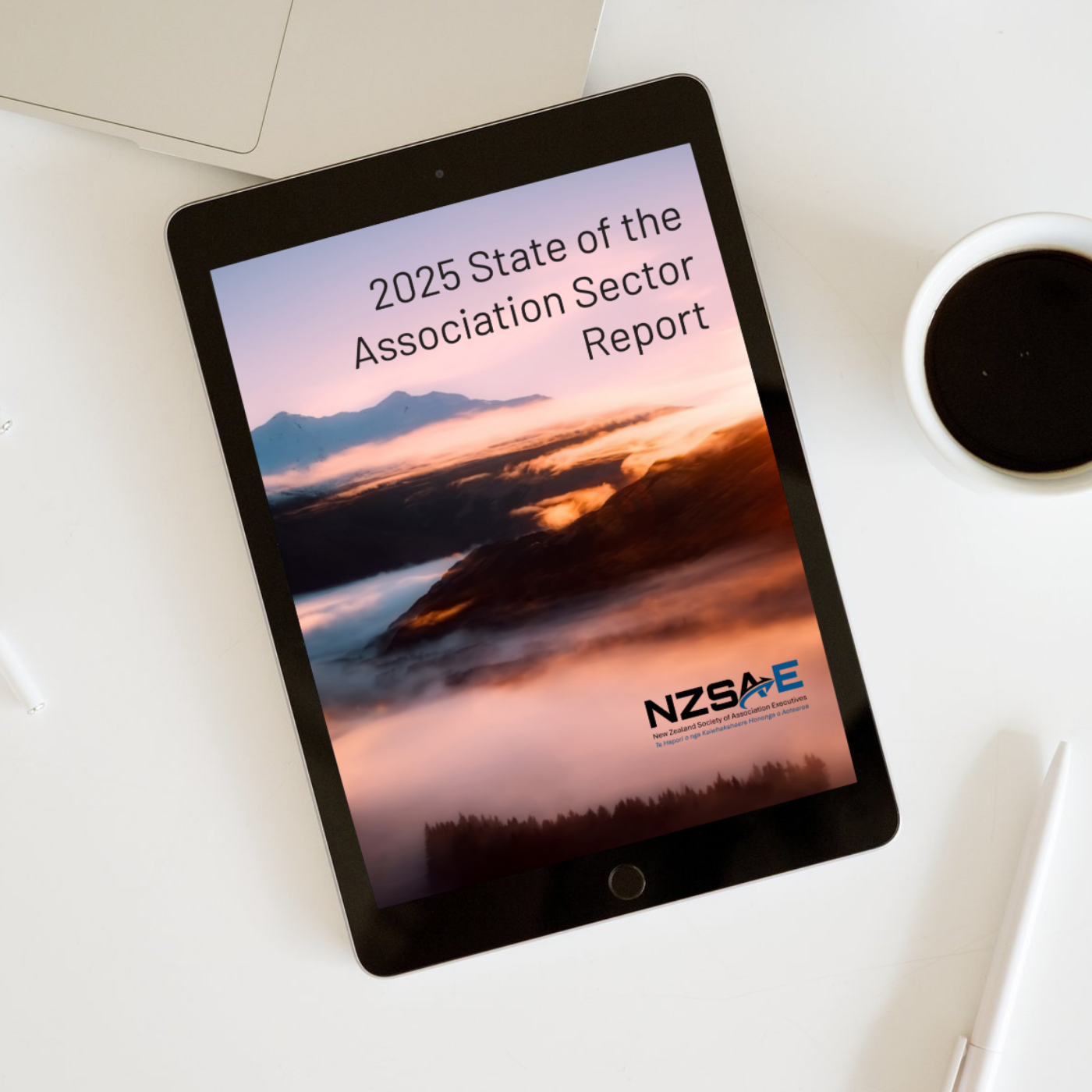 Key Outtakes from the 2025 NZSAE State of the Association Sector Report