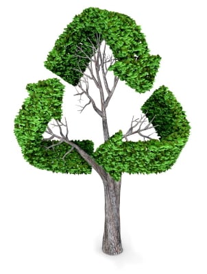 3D recycling tree  isolated over a white background